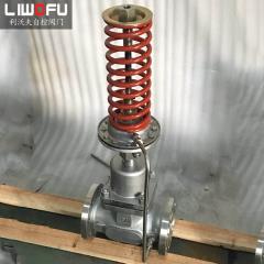 自力式壓力香蕉视频污在线观看：科技引領，壓力控製新篇章